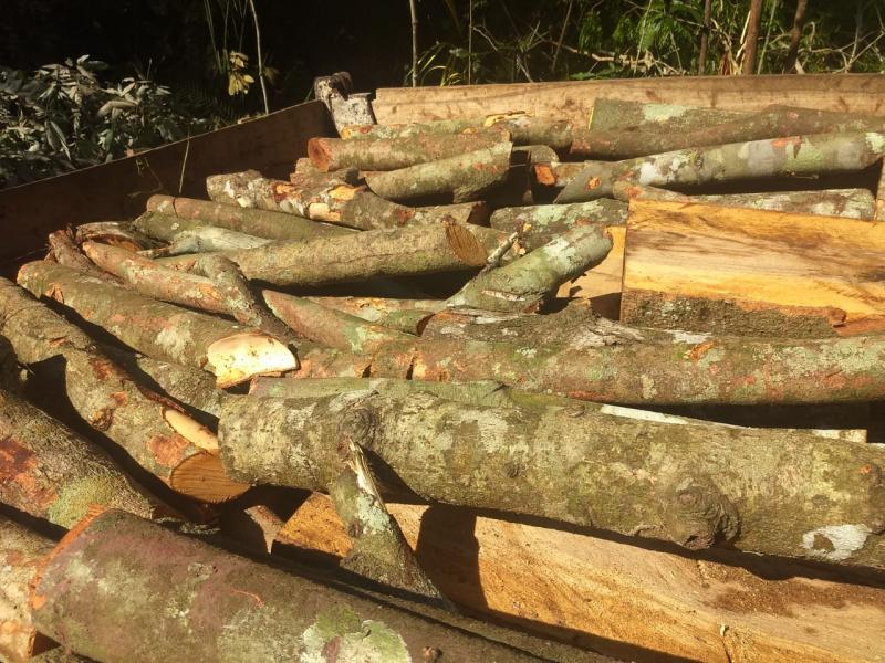 Policiais da Dema prendem cinco homens por crime ambiental