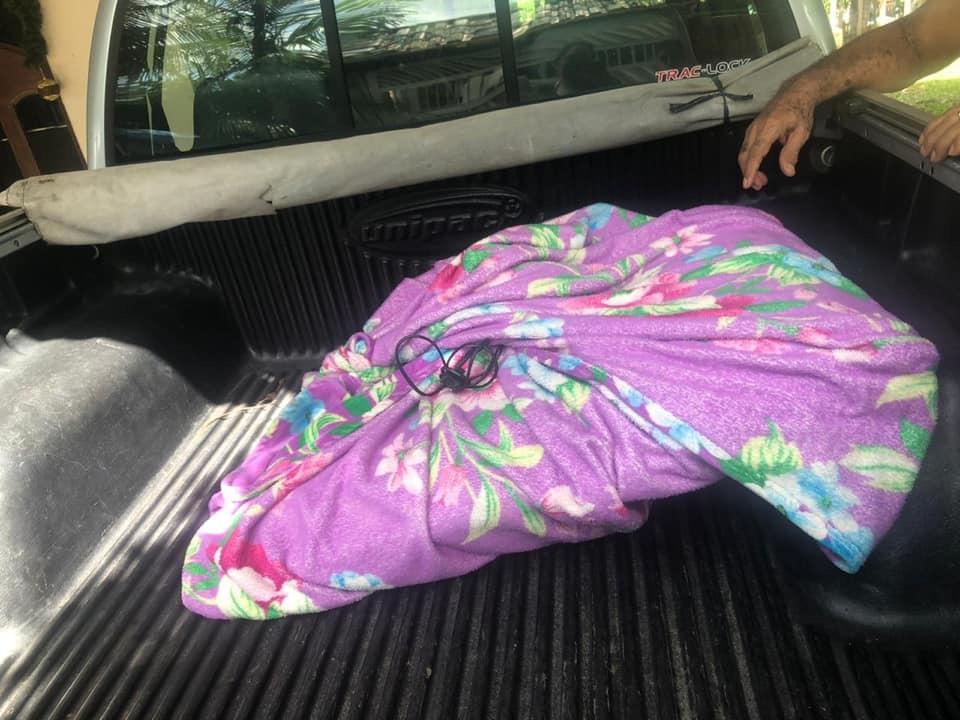 Homem invade casa para roubar TV, mas acaba surpreendido