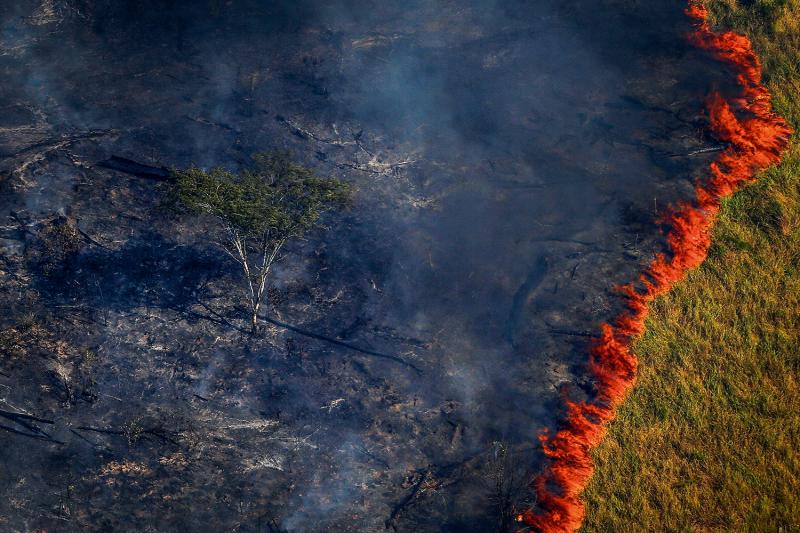 Inpe: Área com alerta de desmatamento na Amazônia sobe 85% em 2019
