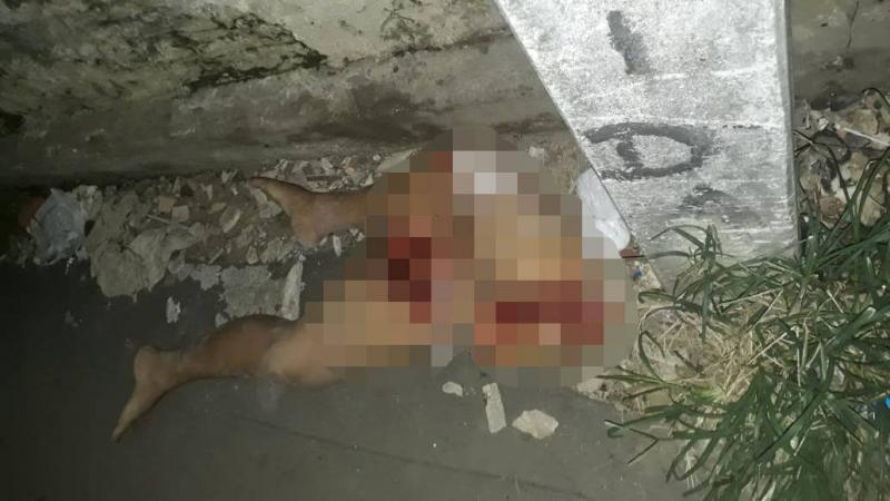 Pernas de mulher são encontradas jogadas em calçada de beco em Manaus