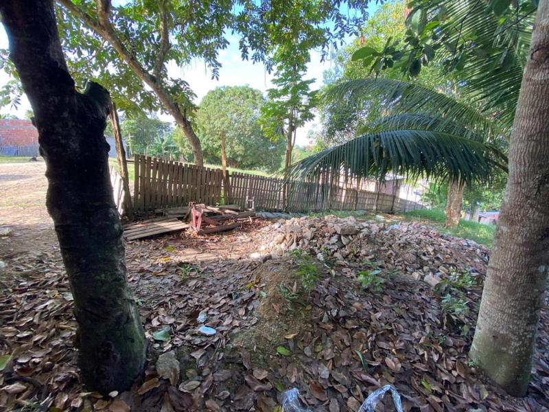 Manaus registra 14 mortes violentas entre sexta e madrugada de segunda, aponta IML