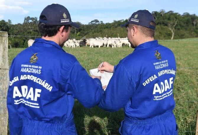 Adaf inicia campanha contra febre aftosa no dia 15 de março