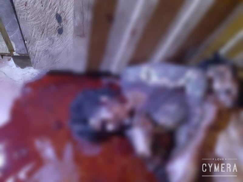 PM prende acusado de matar “amigo” com golpes de foice na zona rural de Parintins