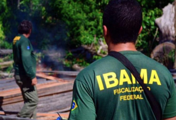 Ibama pode contratar 1,4 mil trabalhadores temporários