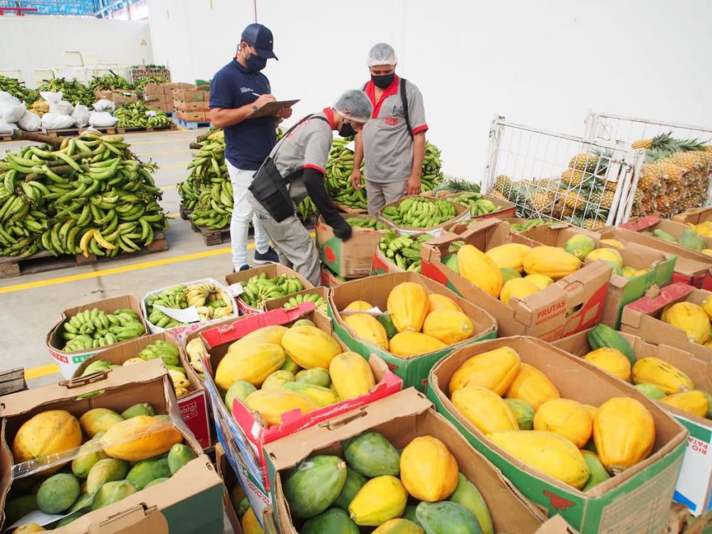 Governo do Amazonas compra mais 30 toneladas de alimentos para doação a pessoas em vulnerabilidade social Governo do Amazonas compra mais 30 toneladas de alimentos para doação a pessoas em vulnerabilidade social