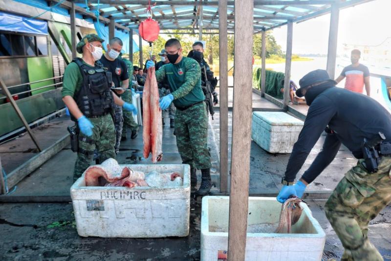 Batalhão Ambiental registra aumento de 800% nas apreensões de pescado ilegal em 2021