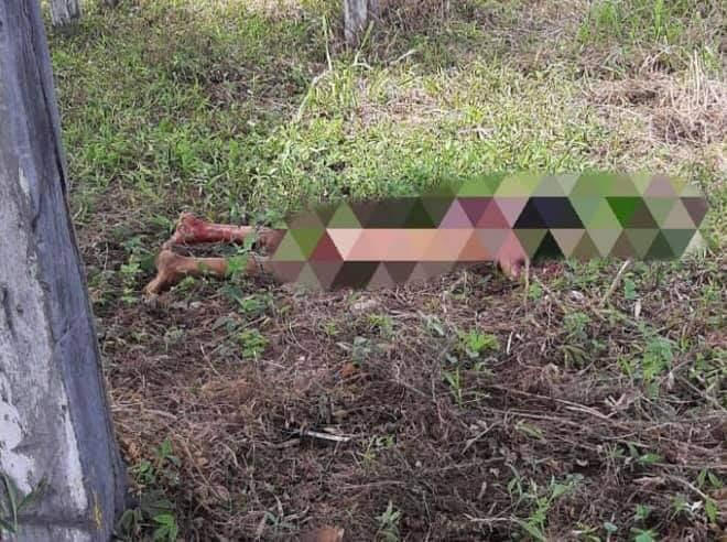 Em Parintins, adolescente de 14 anos é morto a facadas