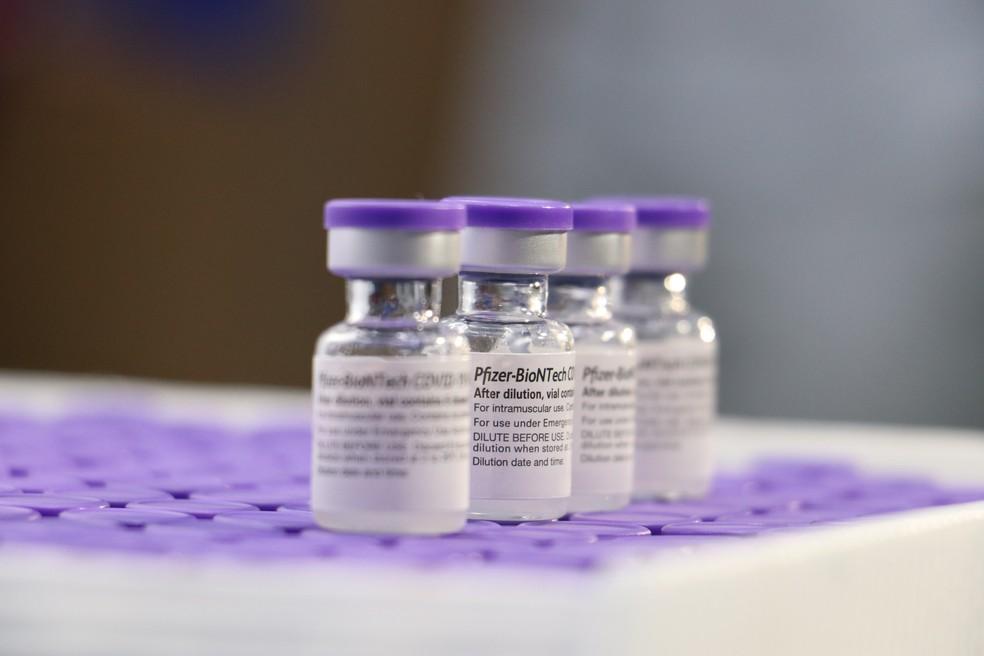 Justiça suspende envio de doses da Pfizer para interior do Amazonas 