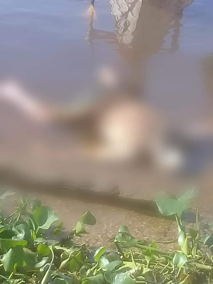 Corpo é encontrado boiando na Lagoa da Francesa, em Parintins