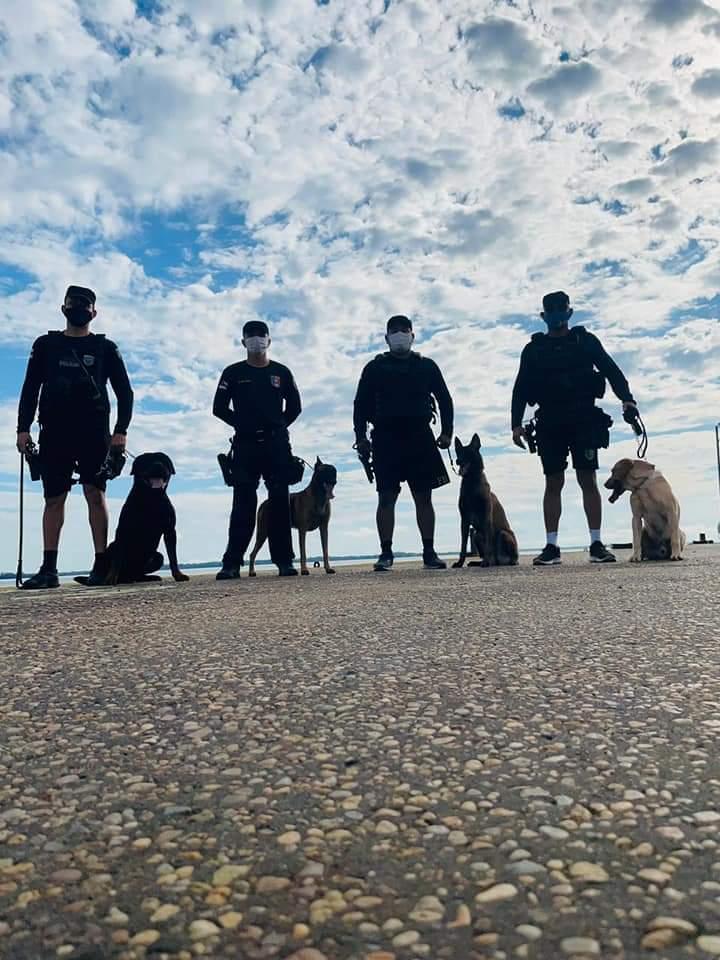 Grupamento Canil Tupinambarana intensifica treinamento com os cães do 11° Batalhão de Polícia Militar na área portuária de Parintins 