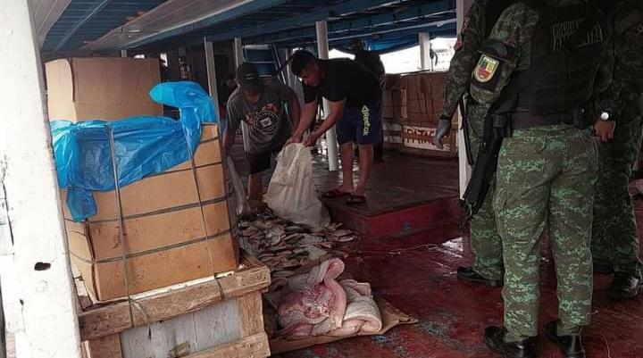Operação apreende duas embarcações com sete toneladas de pescado ilegal em Manaus