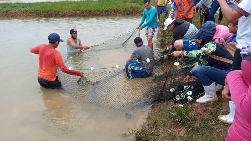 Piscicultores de Barreirinha recebem capacitação para melhoramento de suas criações