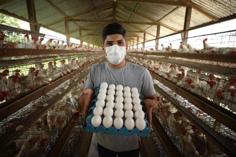 Reforma da AM-010: ‘Todo mundo sai ganhando’, diz granjeiro que destina 90% da produção para Manaus