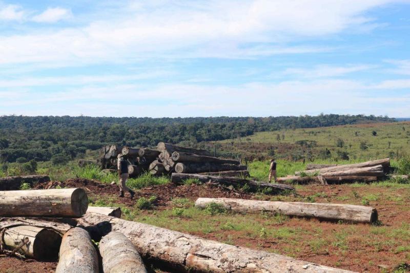 Operação Tamoiotatá embargou o equivalente a 8 mil campos de futebol em terra de desmatamento ilegal no Amazonas