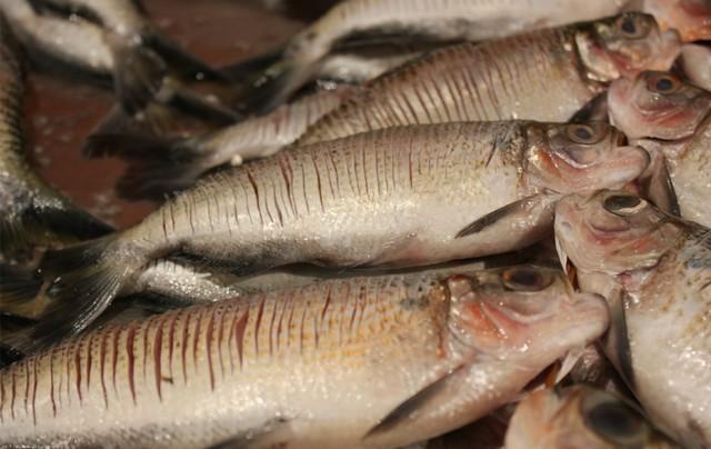 Itacoatiara chega a 19 casos de síndrome associada à 'doença da urina preta