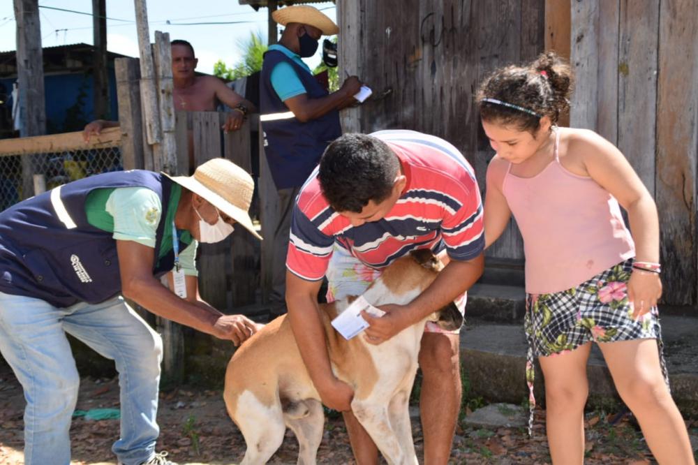 Prefeitura de Parintins avança com campanha antirrábica de cães e gatos casa a casa