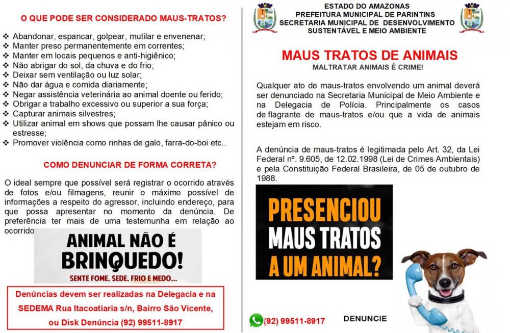 Em Parintins, campanha sensibiliza população para proteção de animais domésticos contra maus tratos Em Parintins, campanha sensibiliza população para proteção de animais domésticos contra maus tratos