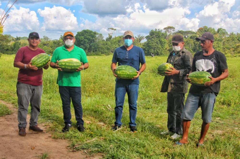 Mateus Assayag acompanha colheita de melancia e dialoga com produtores do Laguinho e Murituba