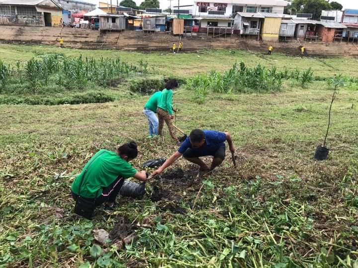 Virada Ambiental planta mudas nativas no entorno da Lagoa da Francesa para resgatar a biodiversidade, em Parintins