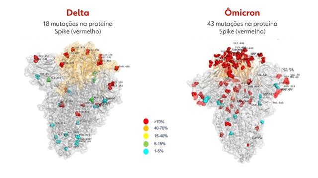 Ministério da Saúde confirma mais dois casos da ômicron no país; ao todo, são cinco pessoas