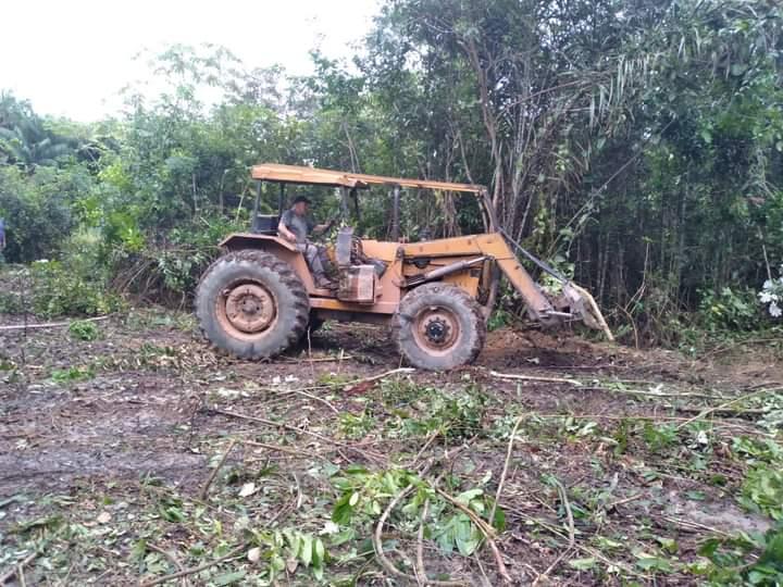 Prefeitura de Parintins prepara 30 hectares de áreas no Laguinho para plantação de mandioca, feijão e milho