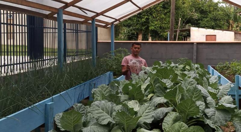 Horta escolar da comunidade do Maranhão inicia colheita e gera renda para a APMC da escola 