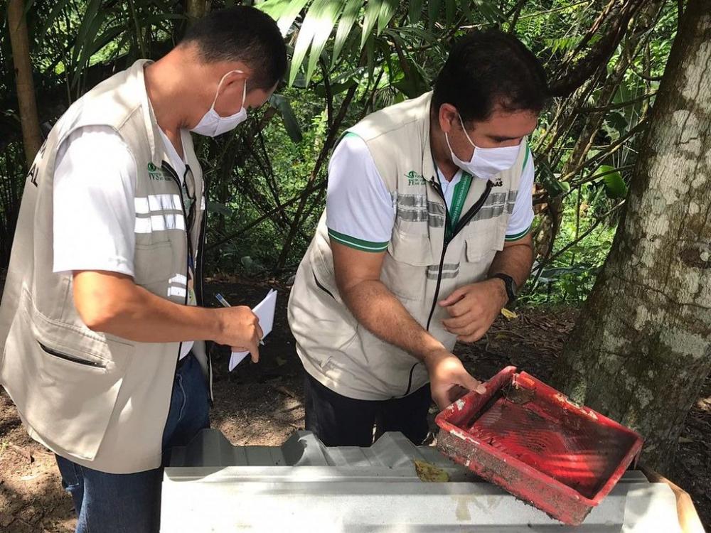 Amazonas apresenta redução de 46% no número de casos de dengue