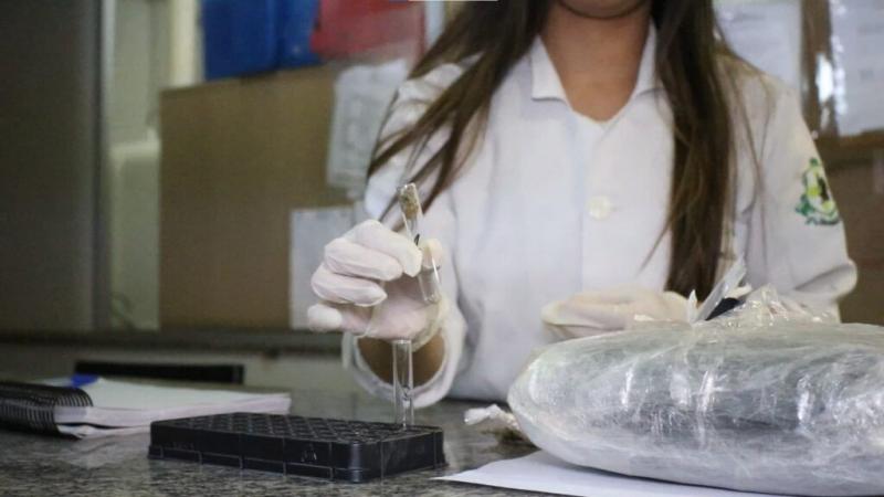 Governo do Amazonas vai implantar Serviço de Verificação de Óbito no estado