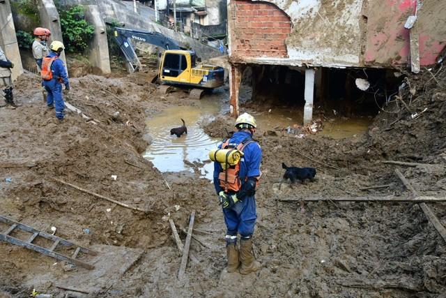 Tragédia em Petrópolis já tem 229 mortos; ainda há desaparecidos