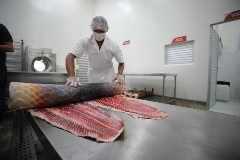 Adaf certifica primeira unidade de processamento de pirarucu manejado em Carauari