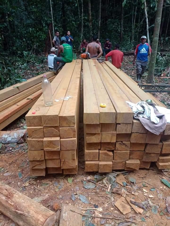 Polícia Militar e Sedema apreendem madeira irregular no Rio Uaicurapá 