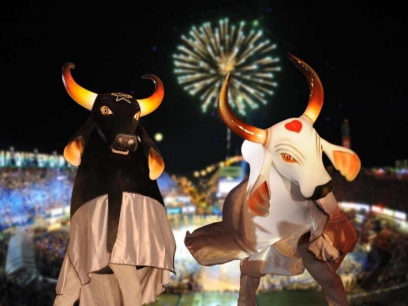 Aleam realizará Sessão Especial em homenagem ao Festival de Parintins