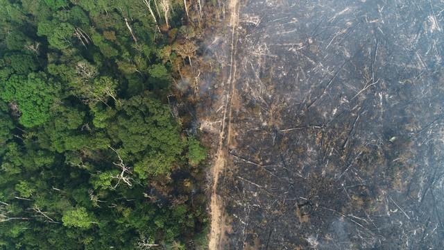 Nos primeiros quinze dias de agosto, Amazonas tem número recorde de focos de queimadas