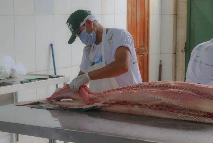 FAS oferece cinco toneladas de peixe durante a Feira do Pirarucu, em Manaus