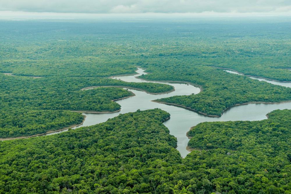 DIA MUNDIAL DO ECOTURISMO: AMAZONASTUR DESTACA INICIATIVAS DE TURISMO ALIADO AO MEIO AMBIENTE