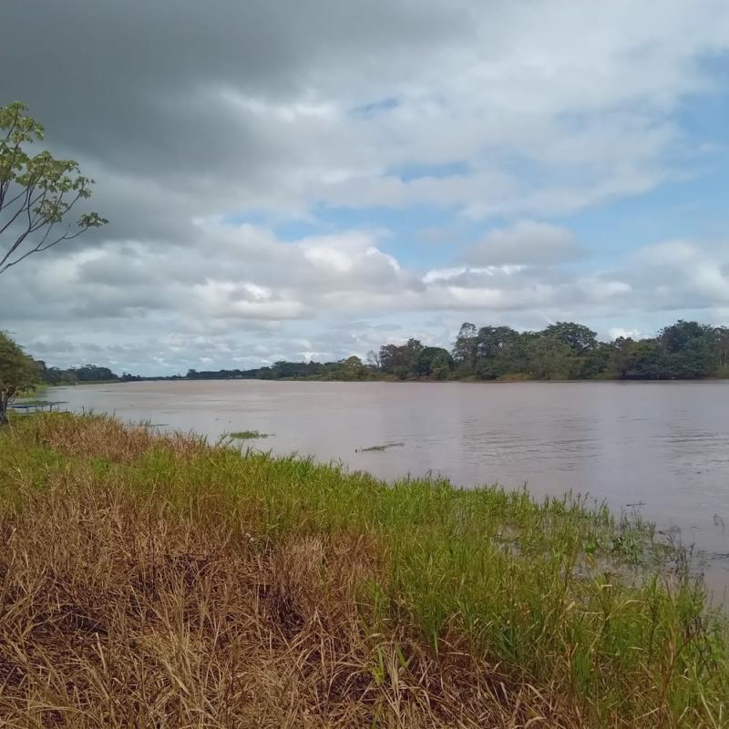 HOMEM DESAPARECEU NO PARANÁ DO LIMÃO, EM PARINTINS