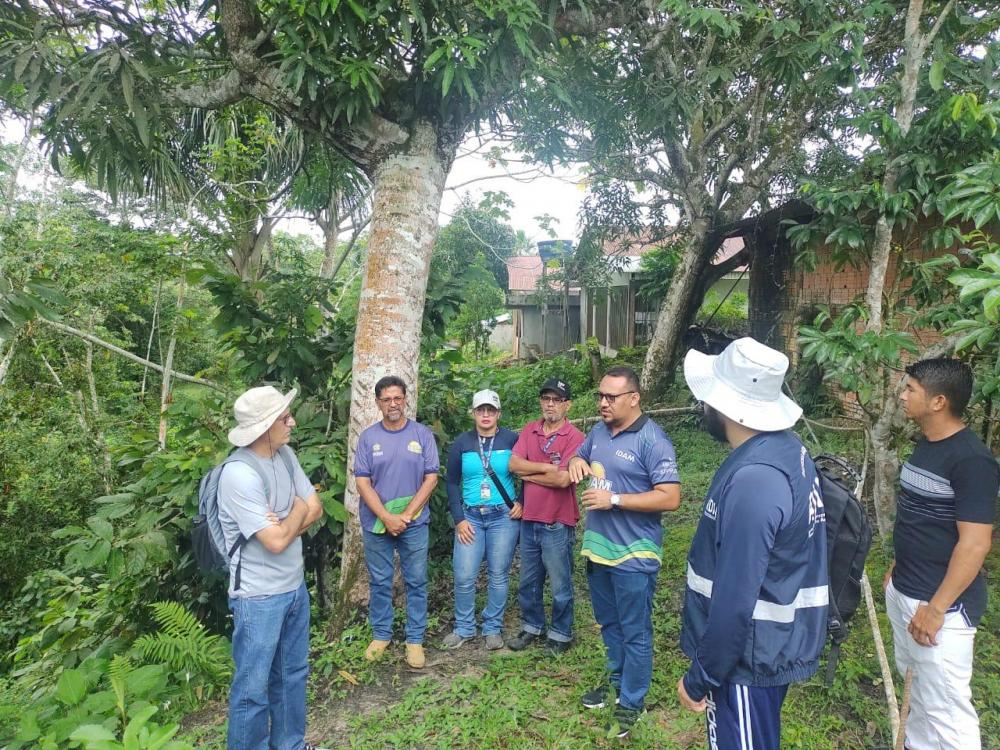 TÉCNICOS DO IDAM ATUAM NO APOIO À CONTENÇÃO DE PLANTAS HOSPEDEIRAS DA MONILÍASE EM TABATINGA 