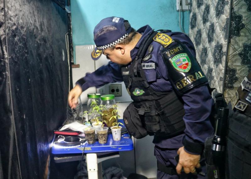 CIDADE MAIS SEGURA: POLÍCIA DESMONTA LABORATÓRIO DE CULTIVO DE ENTORPECENTES NA ZONA SUL DE MANAUS