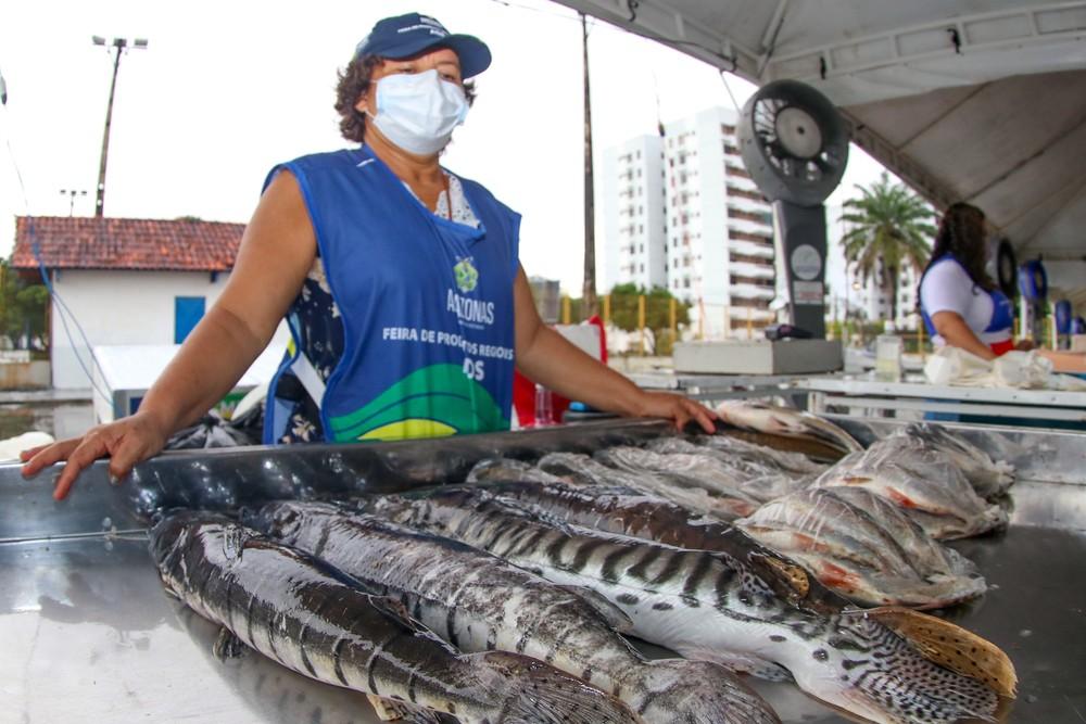 'FEIRÃO DO PESCADO' TEM PEIXES COM PREÇOS A PARTIR DE R$ 9 EM MANAUS
