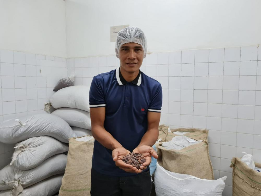 PÁSCOA 2023: INSTITUTO DE DESENVOLVIMENTO AGROPECUÁRIO E FLORESTAL SUSTENTÁVEL DO AMAZONAS INCENTIVA PRODUÇÃO DE CACAU