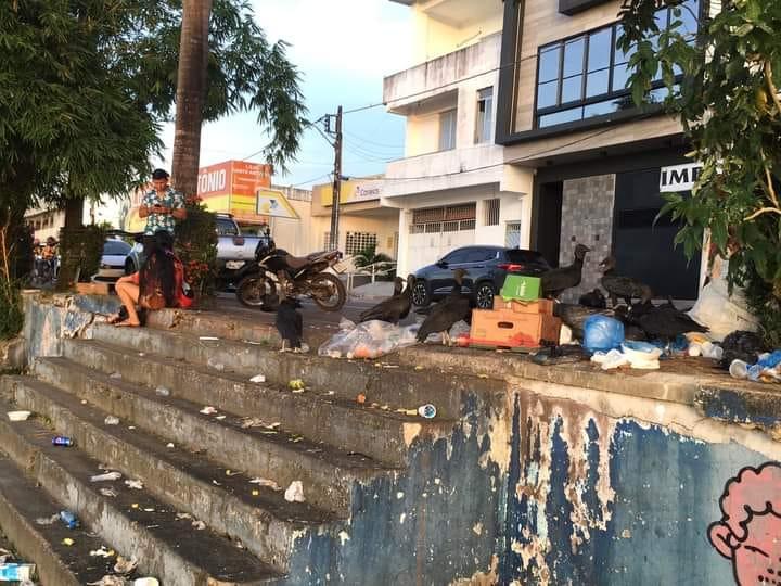 DESCASO: MÁRCIA BARANDA SOLICITA REVITALIZAÇÃO DA ORLA DA CIDADE NA RUA RUI BARBOSA, EM CARÁTER DE URGÊNCIA 