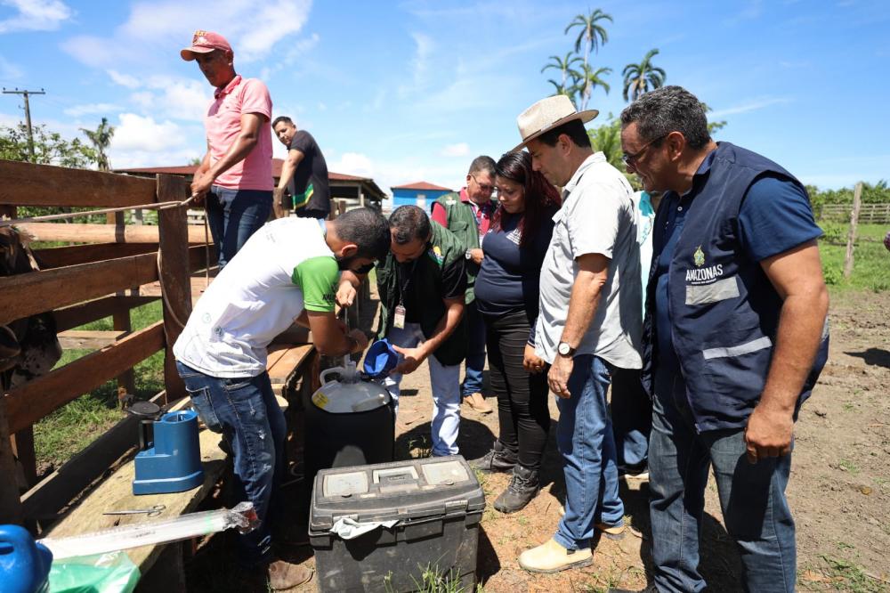 EM AUTAZES GOVERNO DO AMAZONAS REALIZA INSEMINAÇÃO ARTIFICIAL EM REBANHO BOVINO   