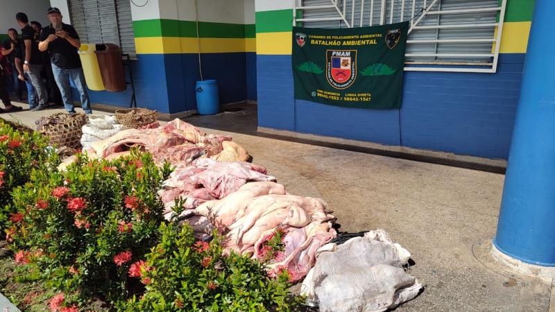 POLICIAIS DO BATALHÃO DE POLICIAMENTO AMBIENTAL APREENDEM 781 KG DE CARNE DE ANIMAIS SILVESTRE EM FEIRA EM COARI