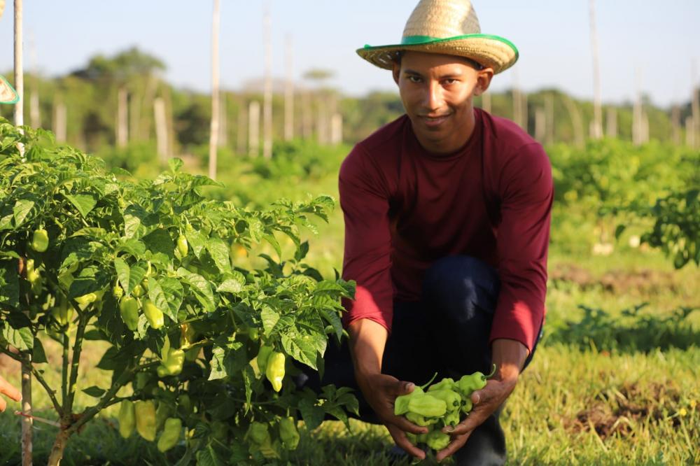 DIA DO AGRICULTOR: GOVERNO DO ESTADO INVESTE NA AGRICULTURA FAMILIAR PELO PROGRAMA AGRO AMAZONAS